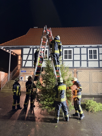 Weihnachtsbaum3