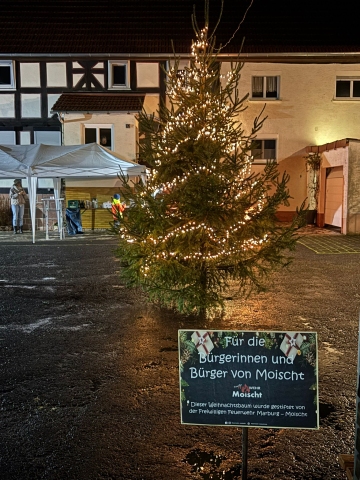 Weihnachten ohne Weihnachtsbaum...das geht doch nicht!