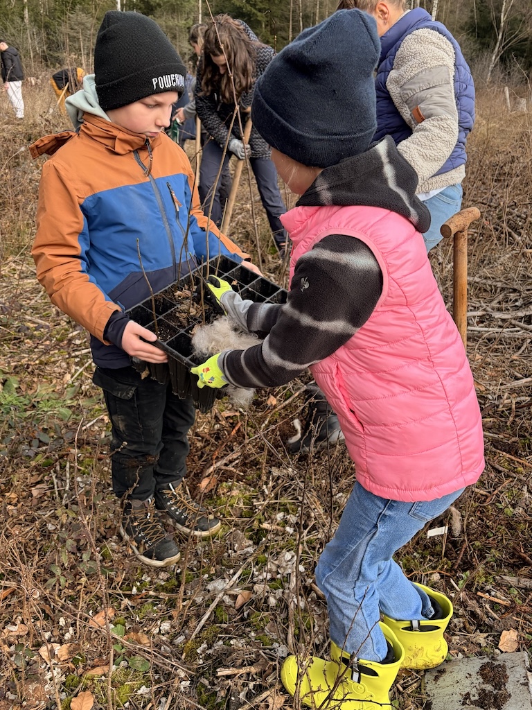 Wir pflanzen einen "Feuerwehrwald" Teil 2