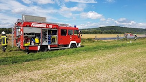 IMG 0282